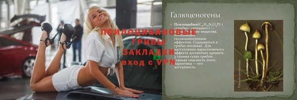 мдпв Верея