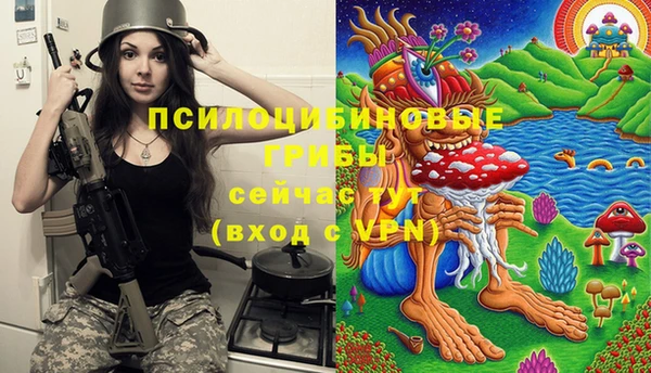 мдпв Верея