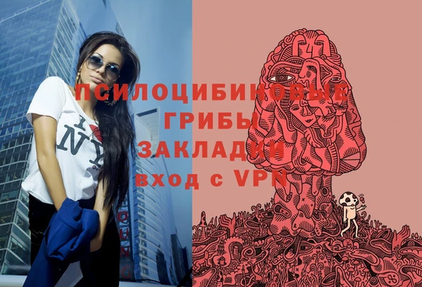 мдпв Верея