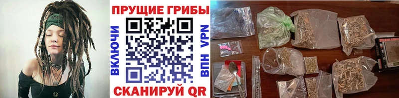 Галлюциногенные грибы GOLDEN TEACHER  Александровское 